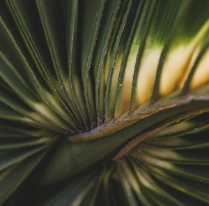 Zeke tucker L Ia Qwe6 Kw U unsplash 3