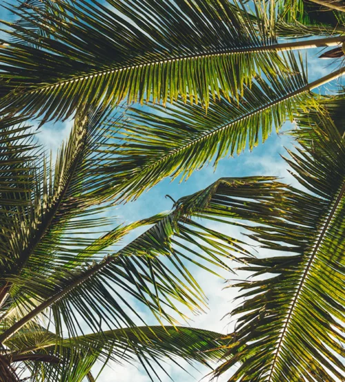Unsplash U Polq Orkbno