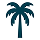 Palm Tree Icon